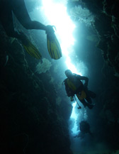 Roatan dive site