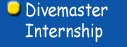 Divemaster Internship