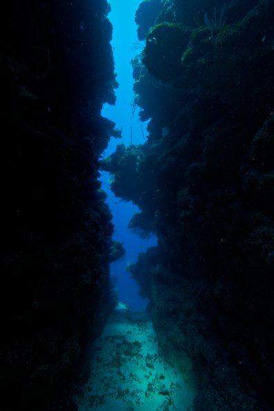 Swim through